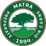Global procurement professional avatar