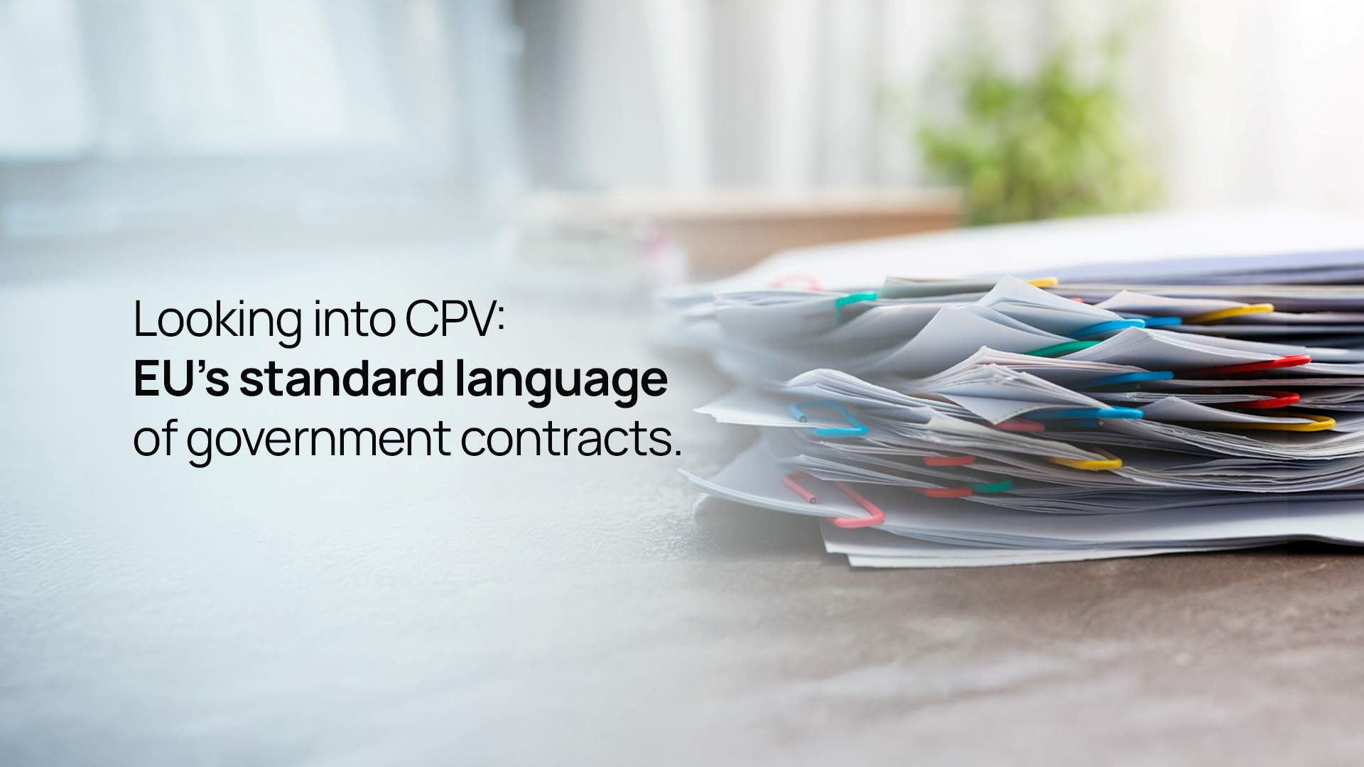 Looking Into CPV: EU’s Standard Language for Government Contracts