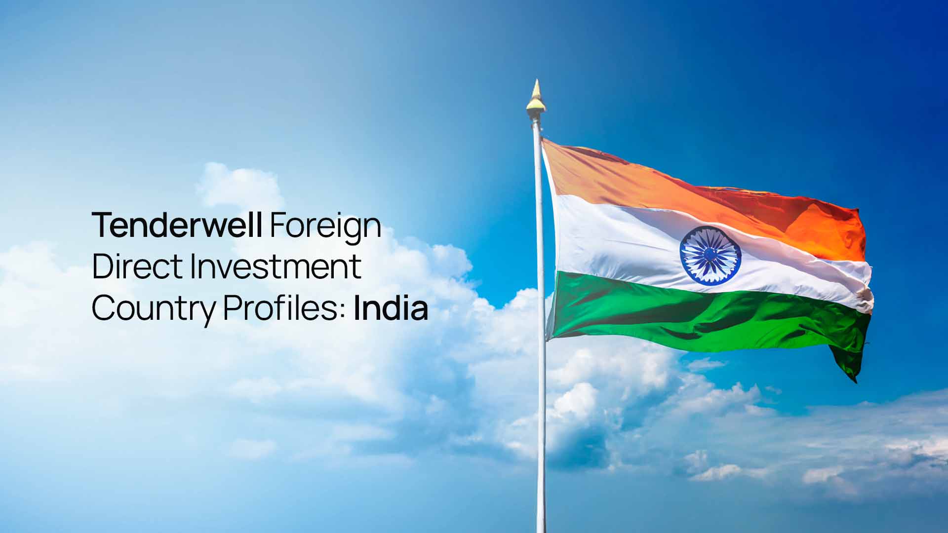 Tenderwell Foreign Direct Investment Country Profiles: India