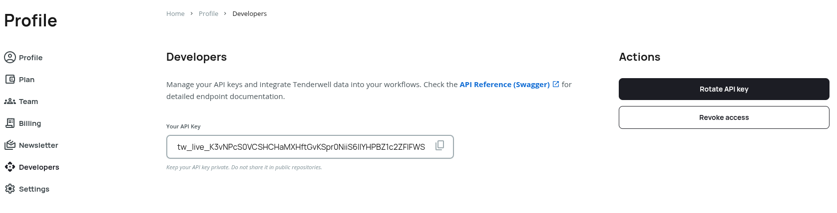 API Access View Placeholder